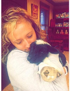 Little-Lamb-Gabby-1-400x516