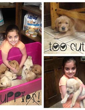 Madeleine-and-puppies-400x516