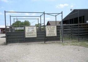 Pull-Thru-Cattle-Loading-Unloading-400x284
