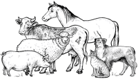 Rogers-Animal-Hospital_Logo_Reworked-1-e1659460796695