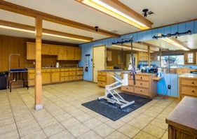 Rogers-Animal-Hospital_portrait_010-400x284