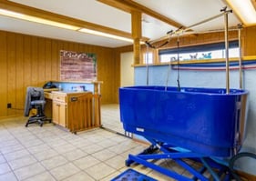 Rogers-Animal-Hospital_portrait_011-400x284