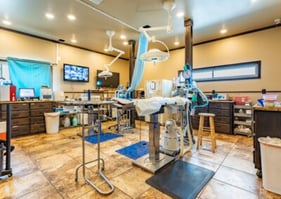 Rogers-Animal-Hospital_portrait_013-400x284