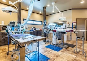 Rogers-Animal-Hospital_portrait_014-400x284