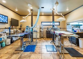 Rogers-Animal-Hospital_portrait_015-400x284