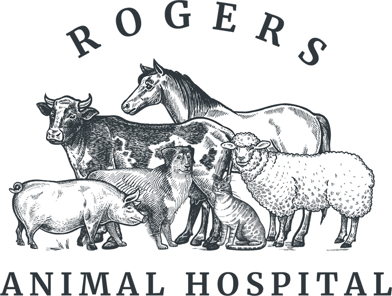 Rogers Animal Hospital